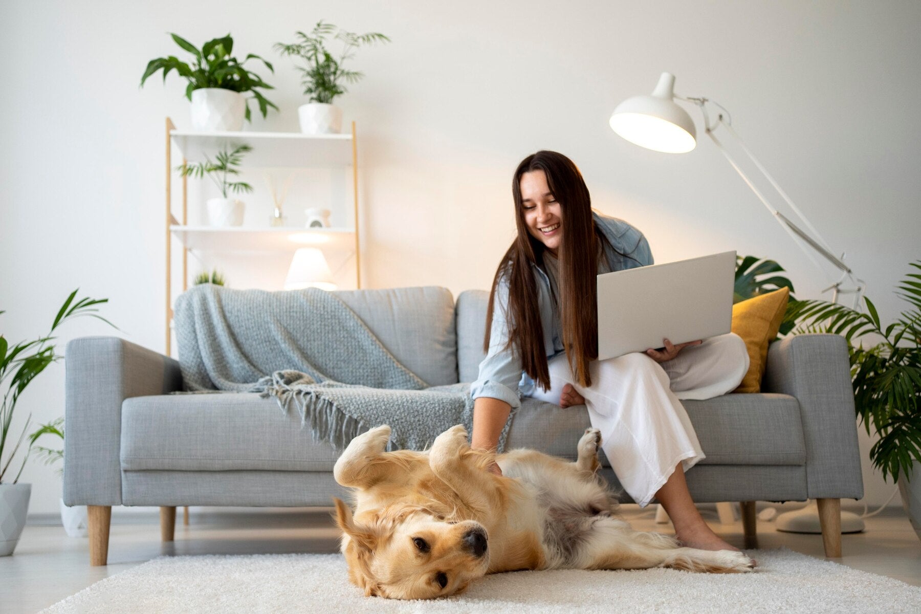 Pet Hair May Harm the Home Environment & How to Get Pet Hair Off Your Couch (5 Easy Ways)
