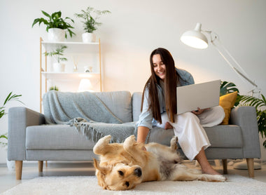 Pet Hair May Harm the Home Environment & How to Get Pet Hair Off Your Couch (5 Easy Ways)