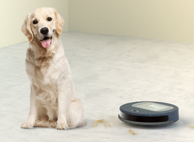 How does Lefant do with dog hair?