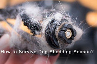How to Survive Dog Shedding Season？Lefant Works Well with Pet Hair!